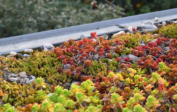 the cost of Ceann A Deas Loch Baghasdail green roof installation